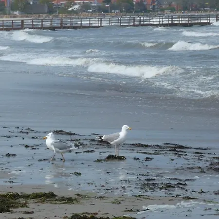 Rieger Fw 2 * Eckernfoerde