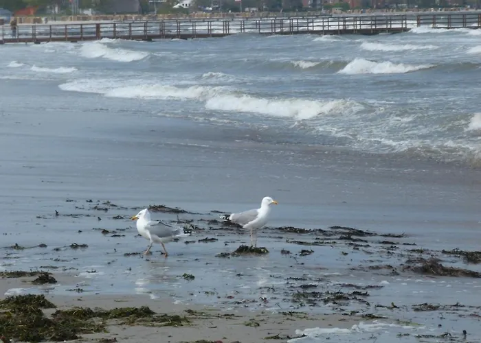 Rieger Fw 2 * Eckernförde